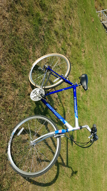 Reflex Horizon Trekking hybrid bike in 